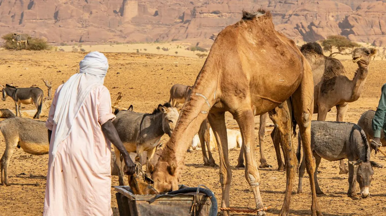 Rikicin rijiyar ruwa ya kashe mutum 42 a gabashin Chadi