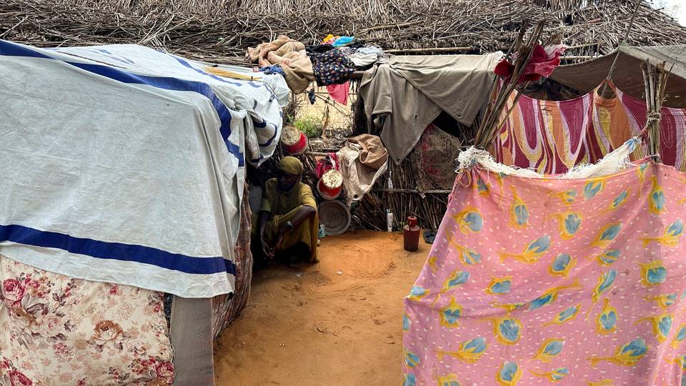 Sudan's North Darfur camp faces severe food shortage