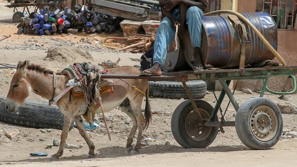 Explosive on donkey cart detonates, kills one in Kenya