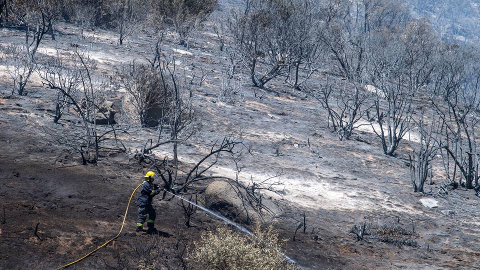 South Africa firefighters battle raging wildfire