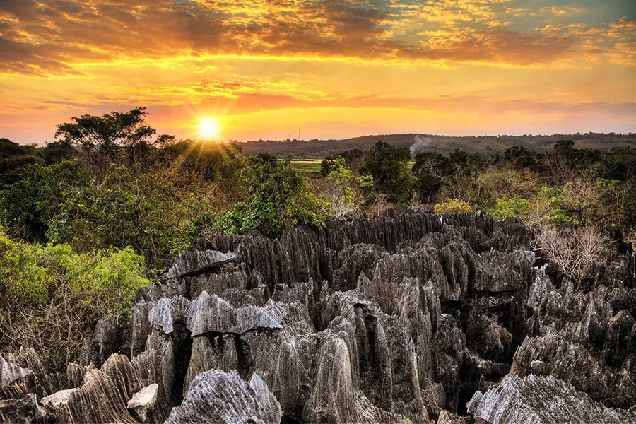 Madagascar: Where Paradise Meets Untamed Nature