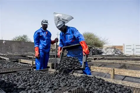 Families in N’Djamena Embrace Green Coal