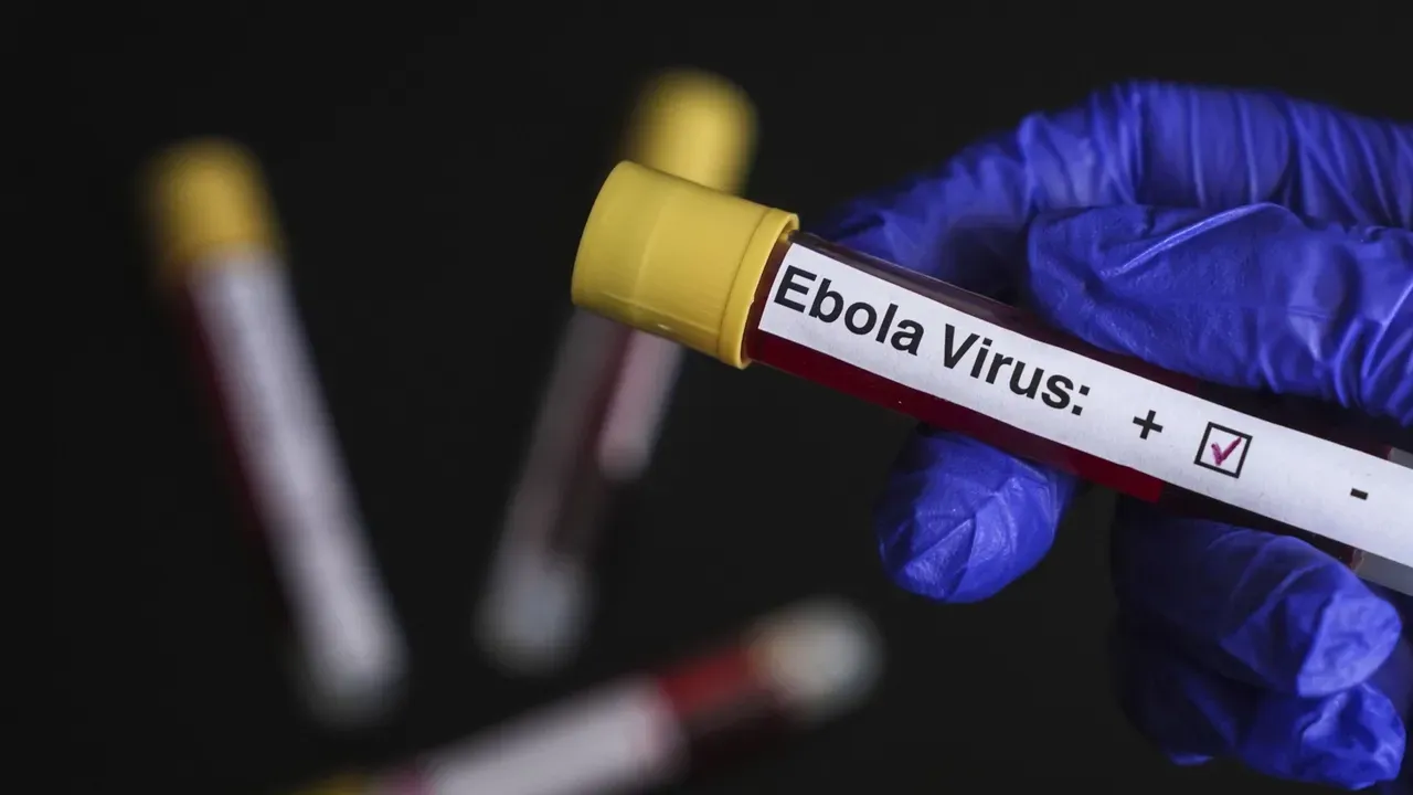Ebola ta bulla a Nijeriya a karon farko bayan sake bullar cutar a baya bayan nan