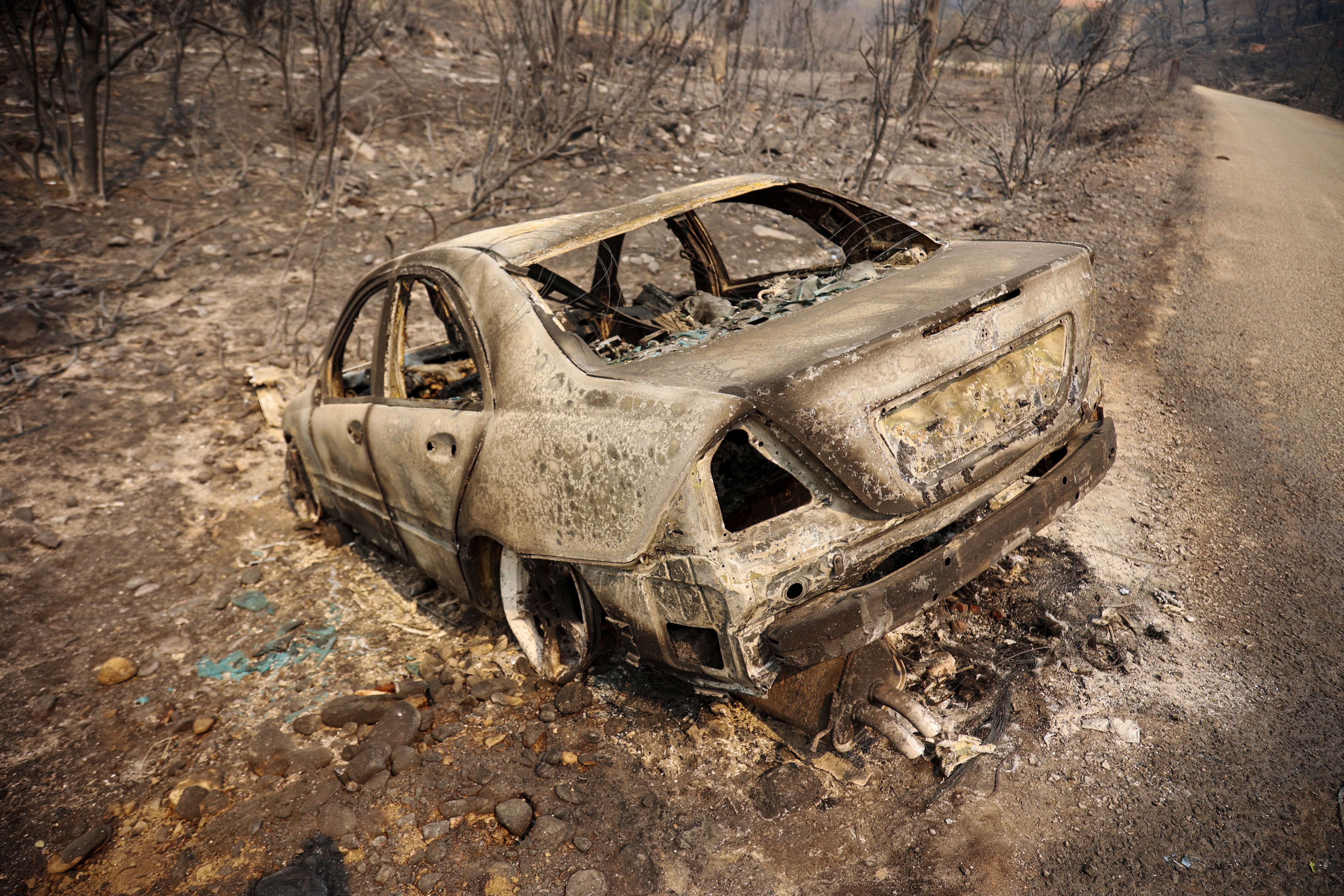Algeria passes death penalty bill for deliberately starting wildfires