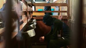 Agression à Berlin : un Syrien condamné à 13 ans pour attaque terroriste