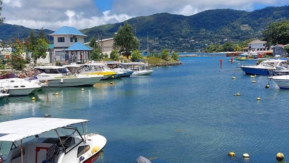 Comment les start-ups propulsent l'industrie du tourisme en Afrique