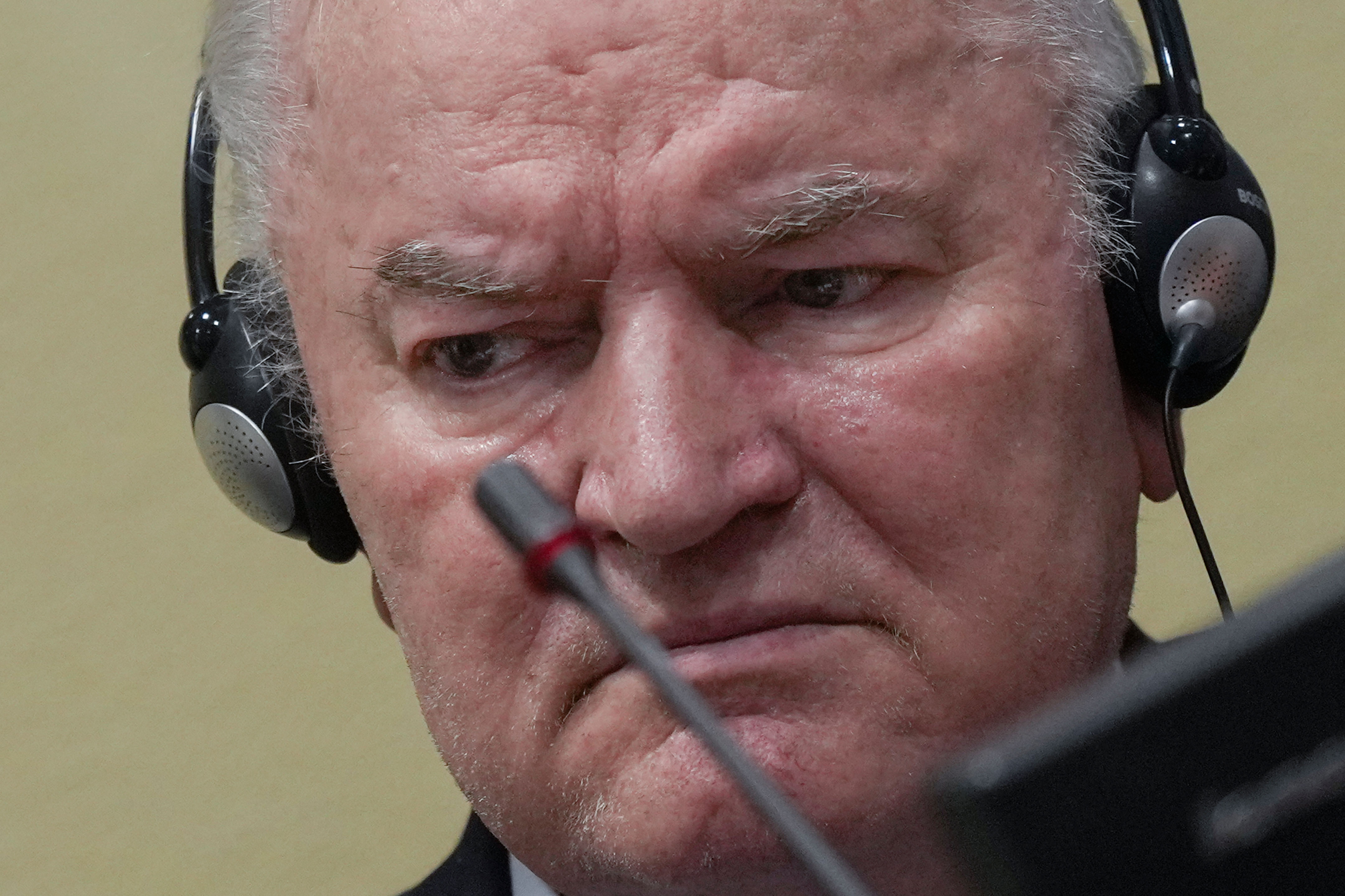 EU slams 'glorification' of late convicted war criminal Mladic
