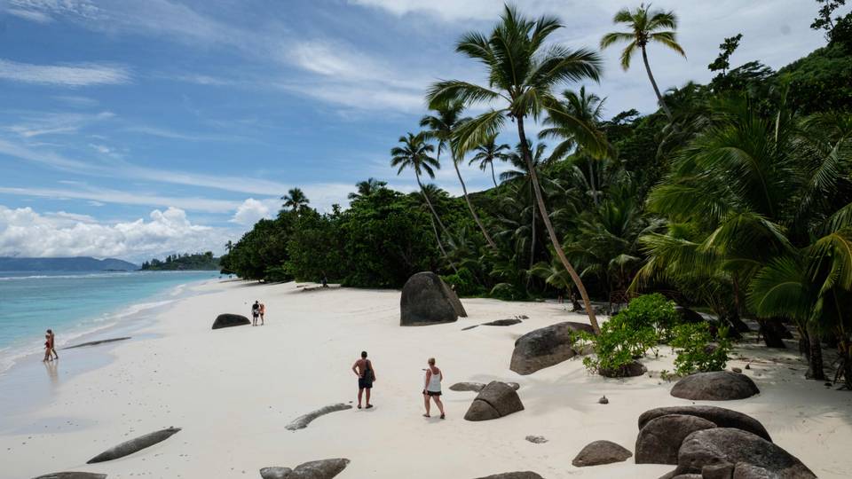 Africa's tourism rebounds to pre-pandemic levels - UN