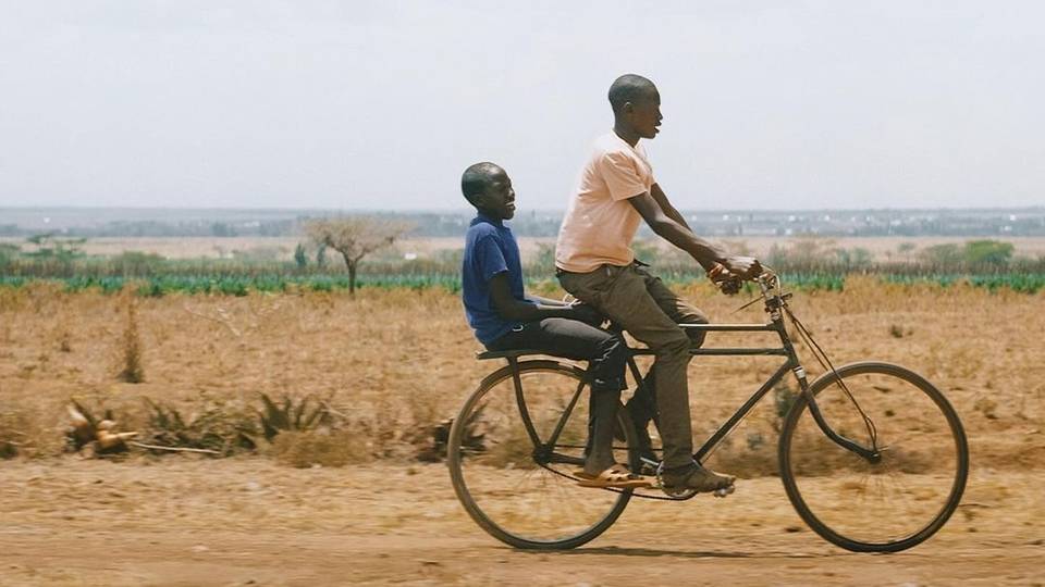 The African films to grace 2024 Tribeca Film Festival