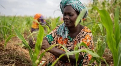 Global Campaign Urges Shift Toward Smallholder Farming in Africa
