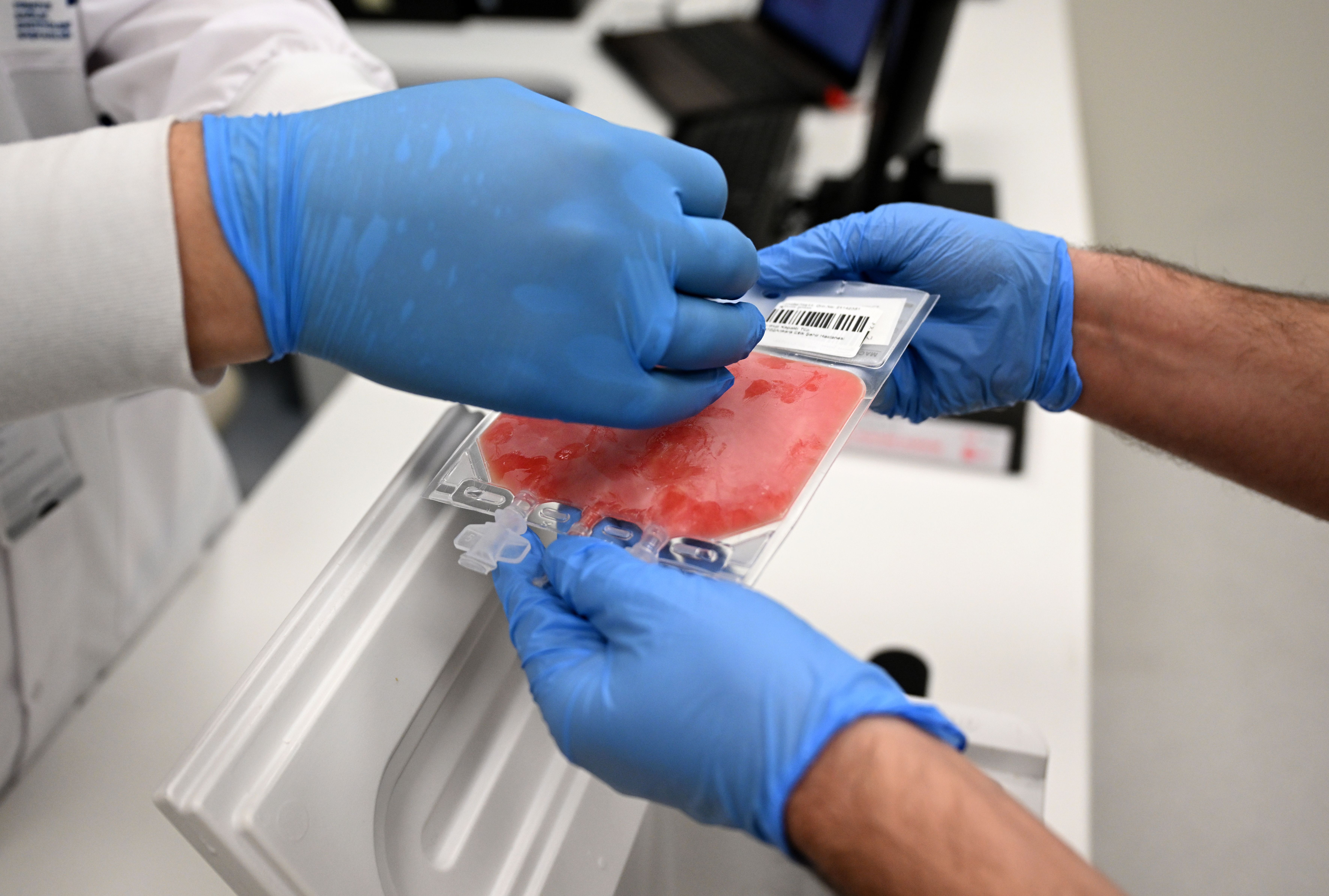 Pourquoi le système immunitaire des plus de 100 ans a plus  de cellules luttant contre le cancer