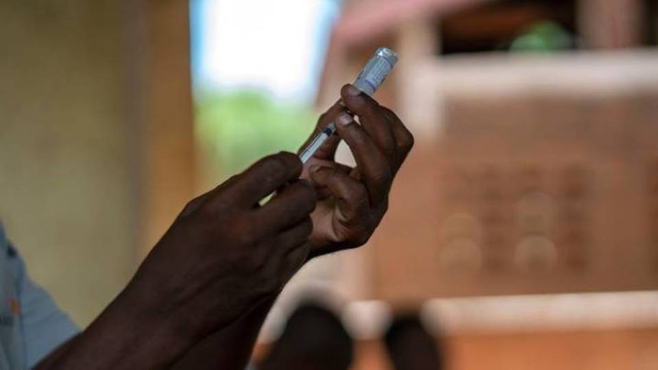 L'Égypte montre la voie au Nigeria pour se débarrasser du fardeau mortel du paludisme
