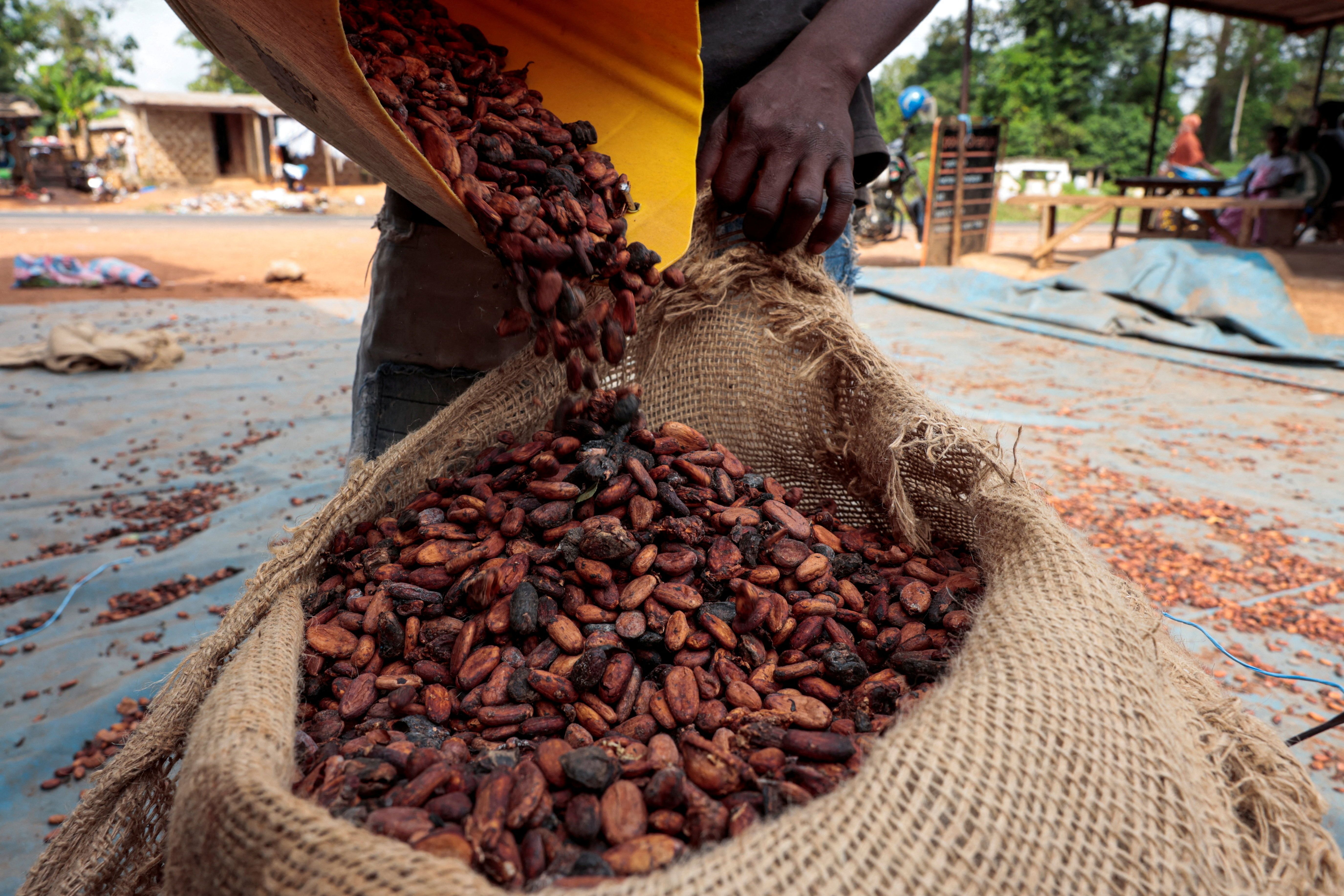 L'Alliance pour la valorisation du cacao: une nouvelle étape de l’intégration économique africaine ?