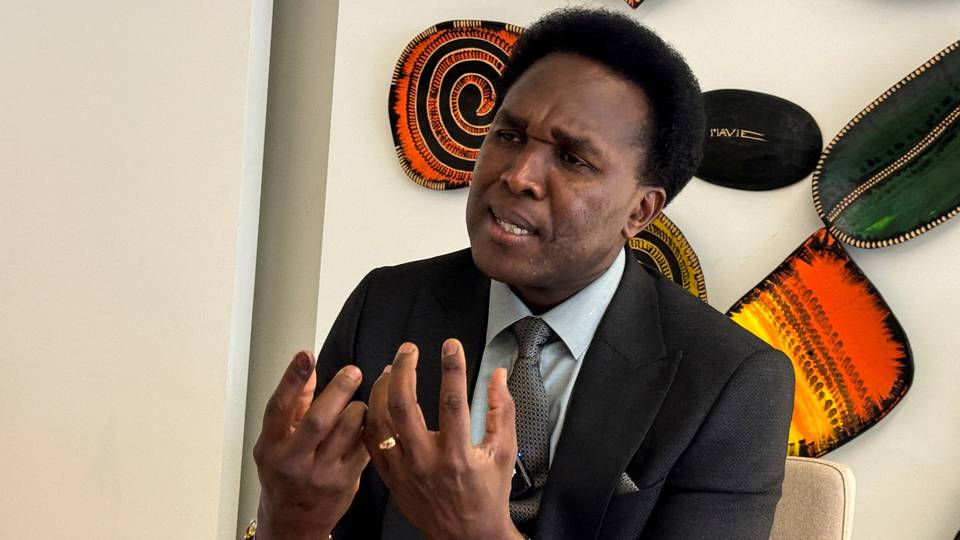 Mozambique's Mondlane to temporarily halt protests