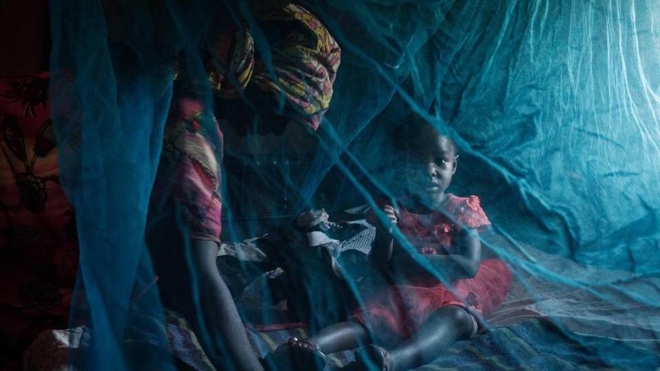 Un nouveau type de moustiquaire a "empêché" 13 millions de cas de paludisme en Afrique