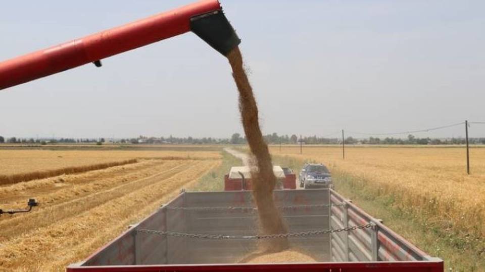 L'Algérie devrait acheter 3 millions de tonnes de blé russe cette saison