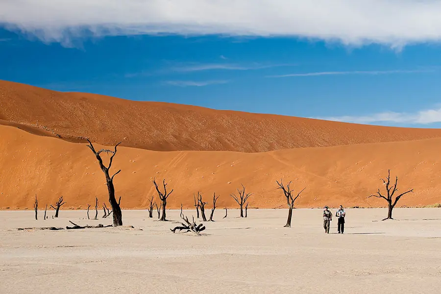 Sossusvlei: Namibia’s Ultimate Desert Escape