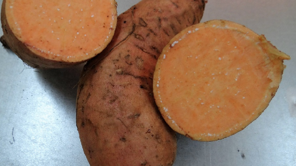 How a new sweet potato holds key to food sufficiency in Burkina Faso