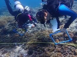 Philippines na Jagorantar Yawon Nutsewa Mai Kula da Muhalli