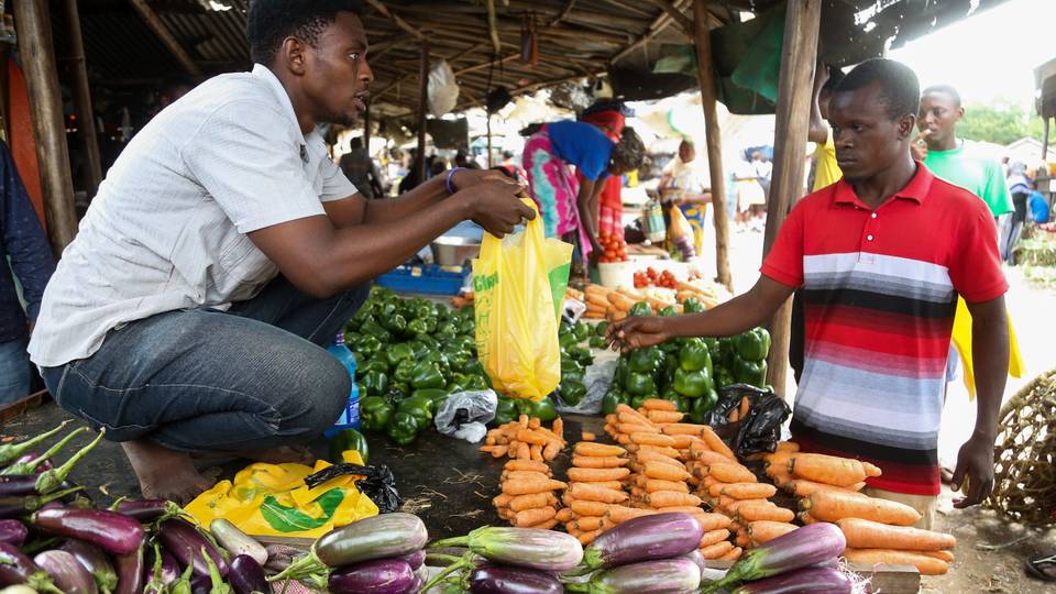 La Somalie bannit les sacs en plastique