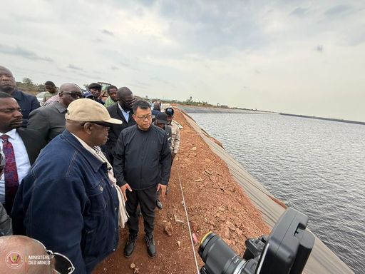 DRC suspends activities at Chinese-run mine after toxic spill