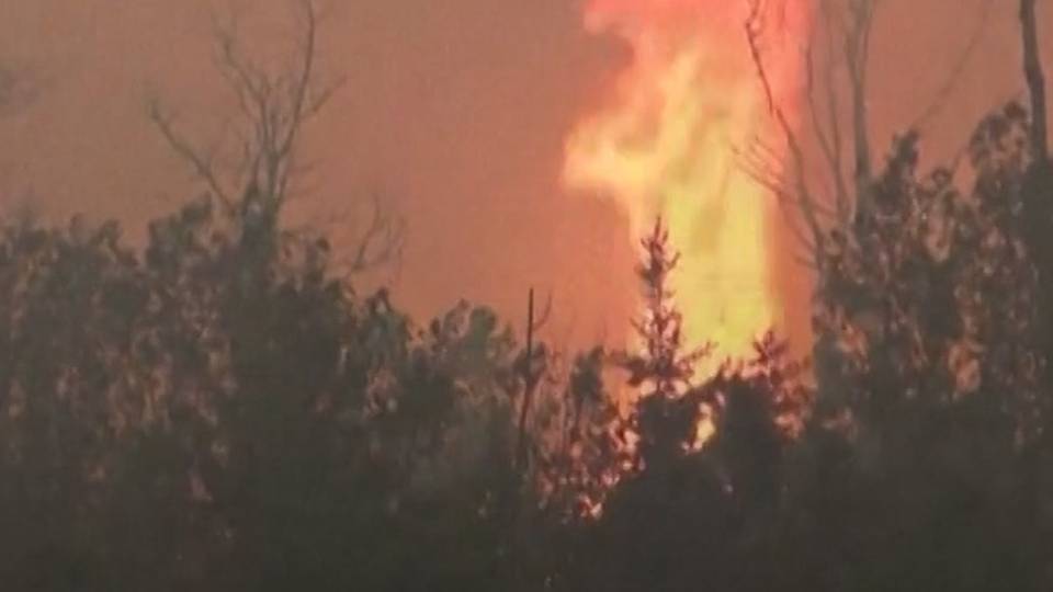 Algerians flee wildfires in country's northeast