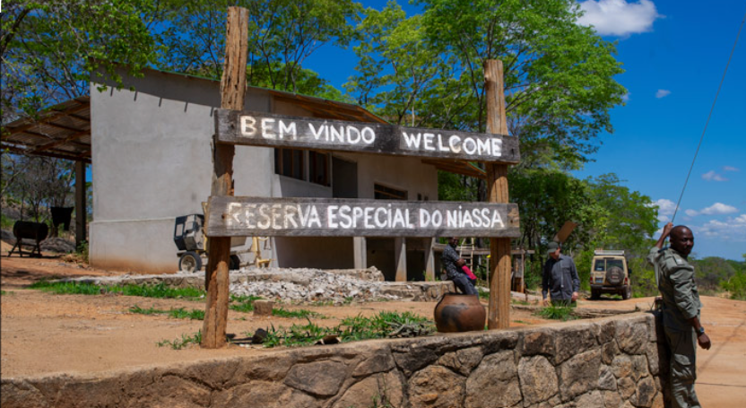 Americans evacuated after attack on Mozambique wildlife camp