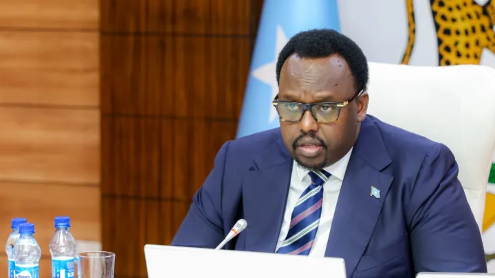 Somalia annuls UAE security and defence agreements over 'sovereignty interference'