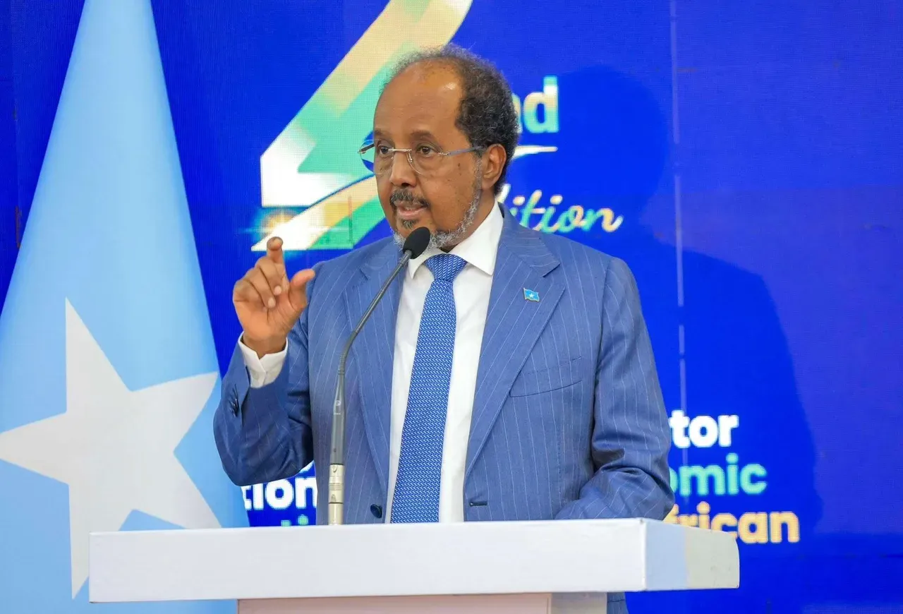 EU imposes visa restrictions on Somalis amid fallout on migrants return deal