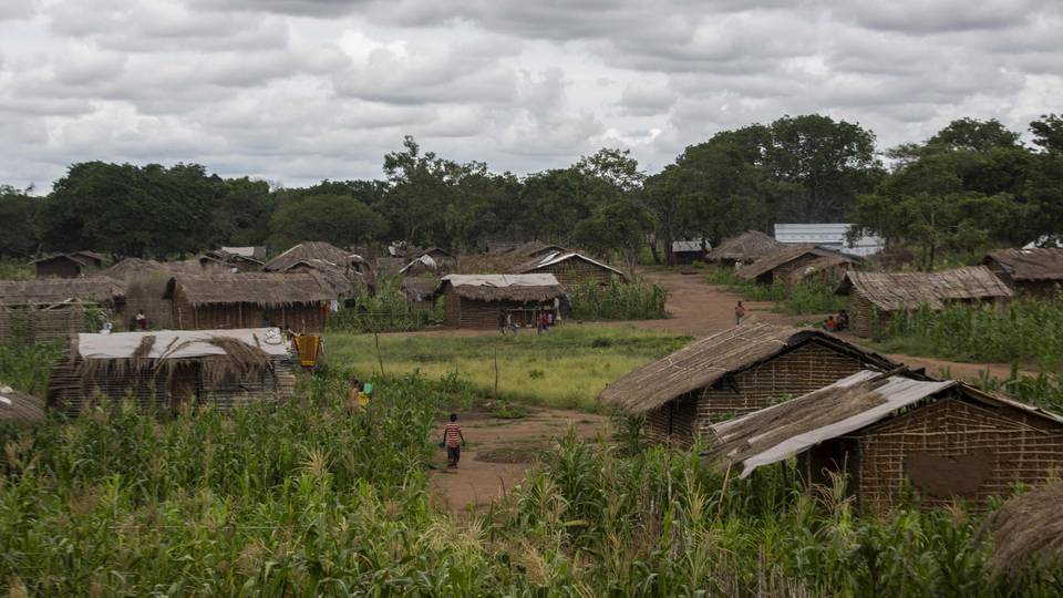 Mozambique militant attacks displace 100,000 people