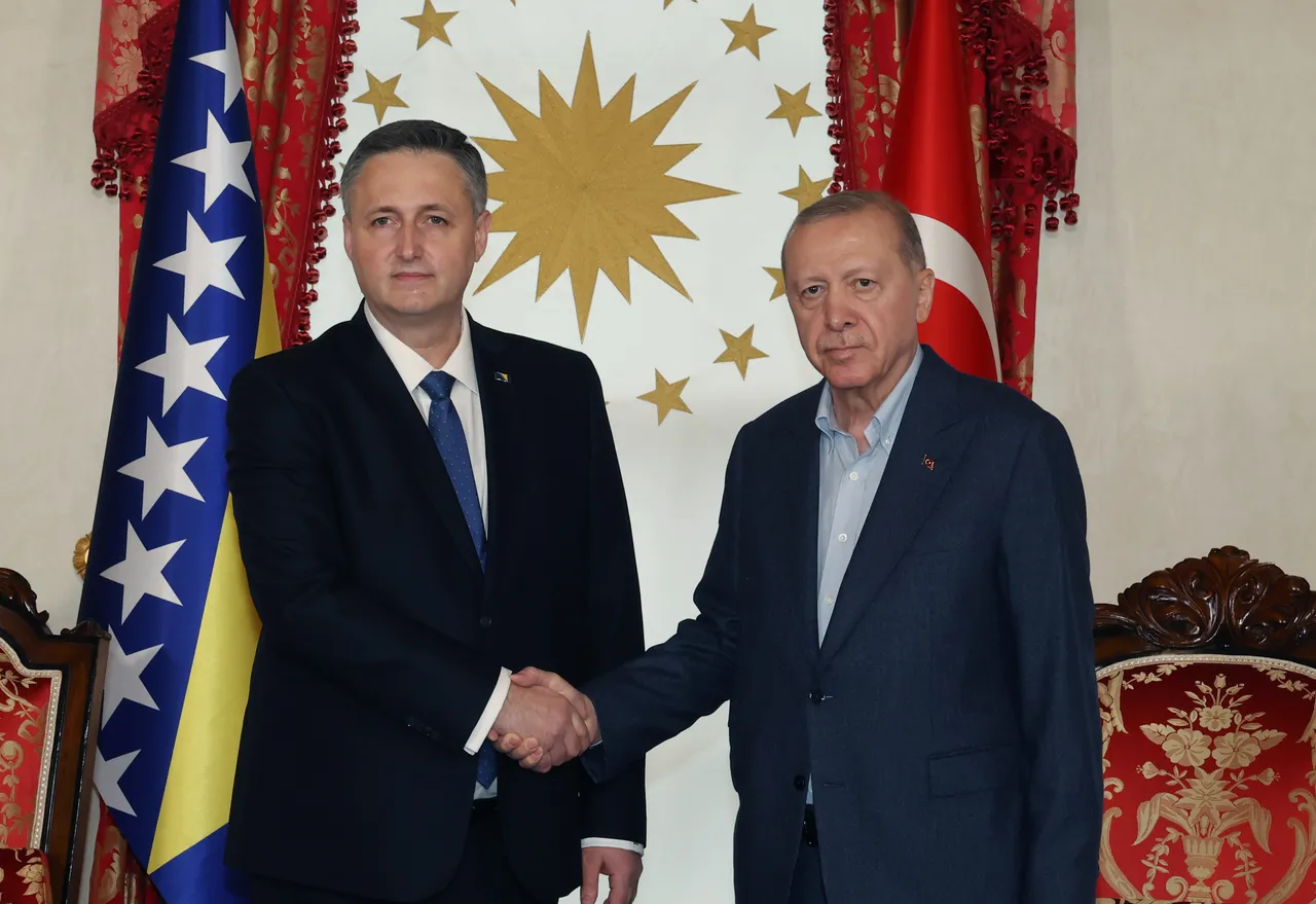 Erdogan ya karɓi shugaban Bosnia a Istanbul