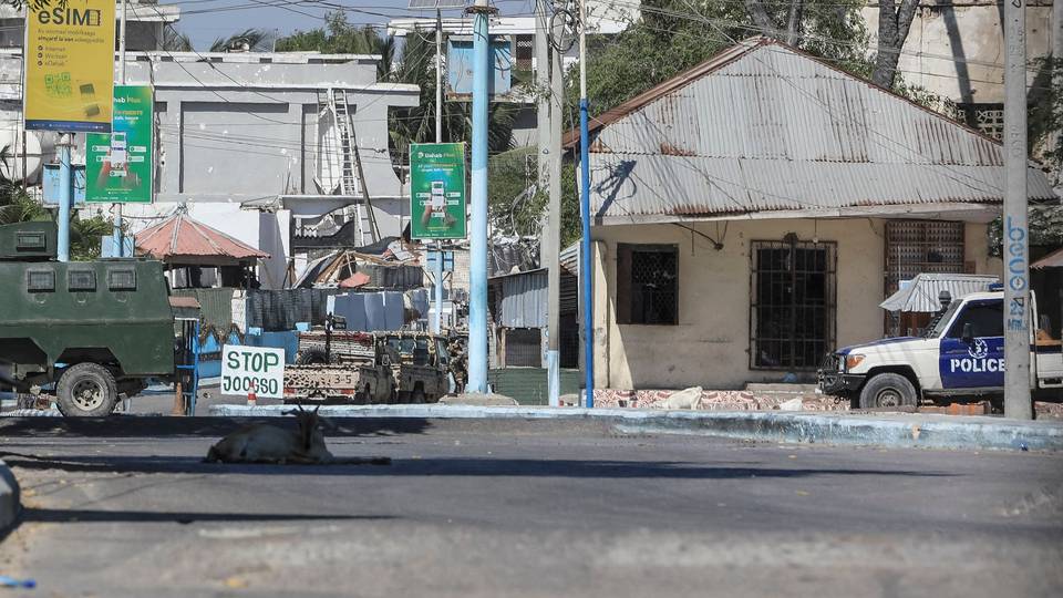 Somalia kills at least 19 al-Shabaab terrorists