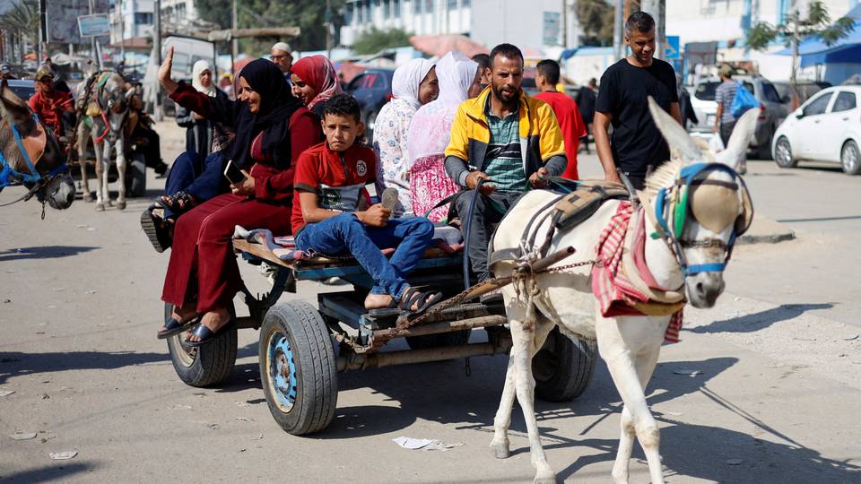 Gaza residents resort to animal-drawn carts amid fuel shortages