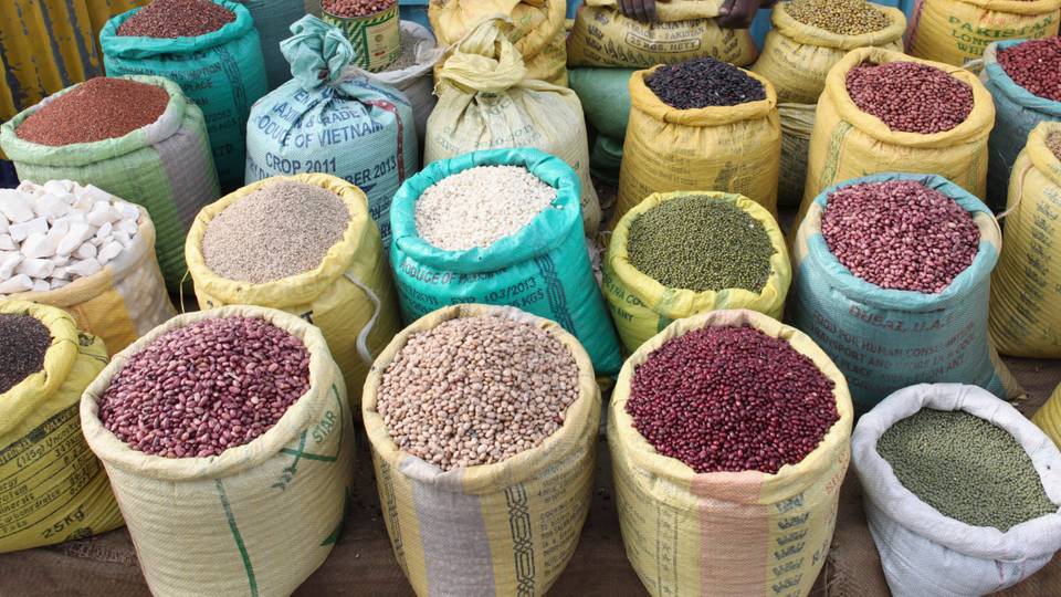 Record number of people to go hungry in West, Central Africa - UN