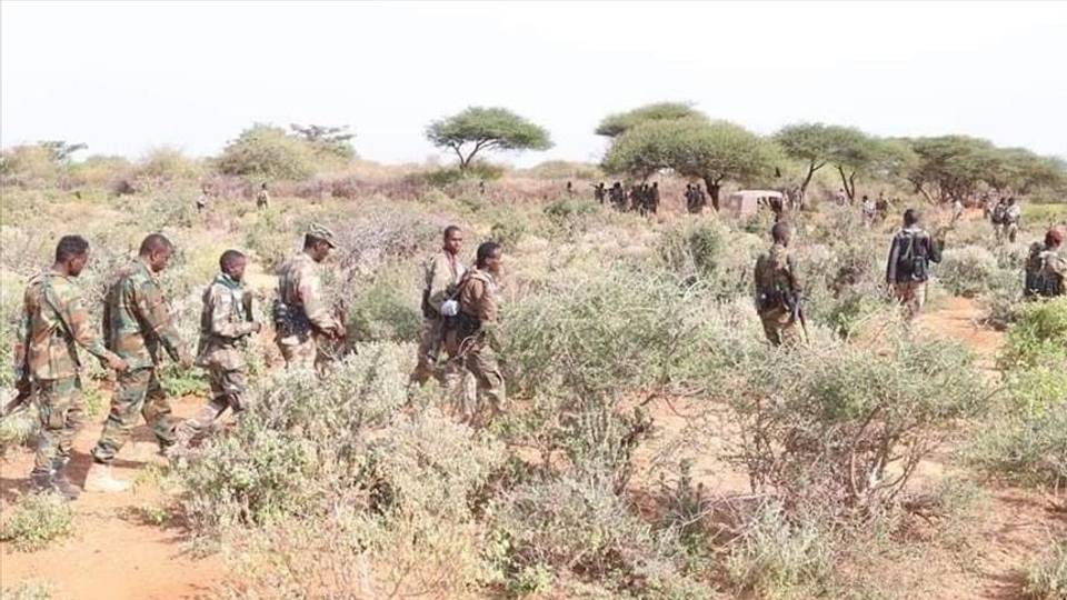 50 éléments d'Al-Shabab tués par l'armée somalienne