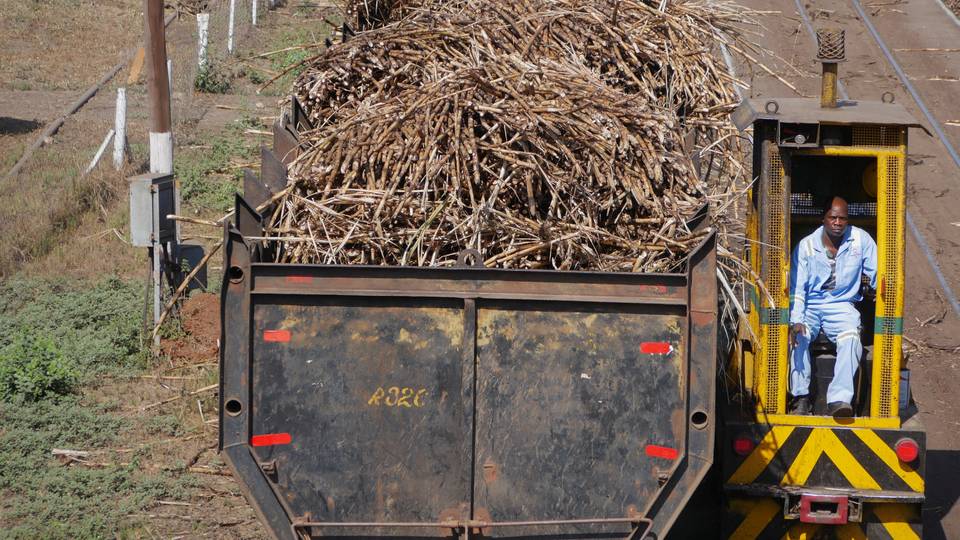 Le Zimbabwe se tourne vers le secteur privé pour relancer le transport ferroviaire de marchandises