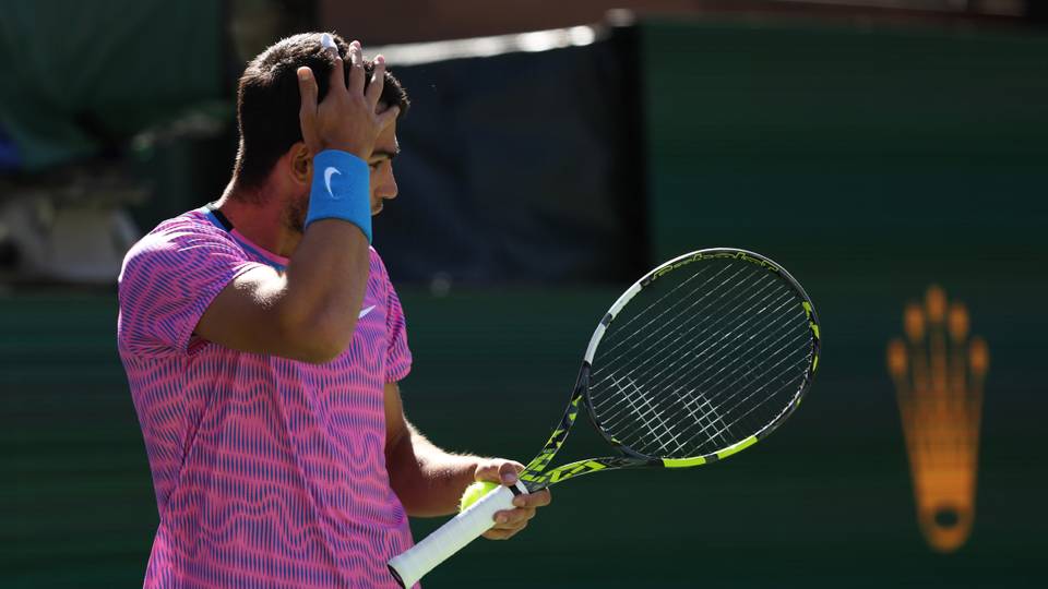 Tennis star Carlos Alcaraz flees court after bees disrupt game