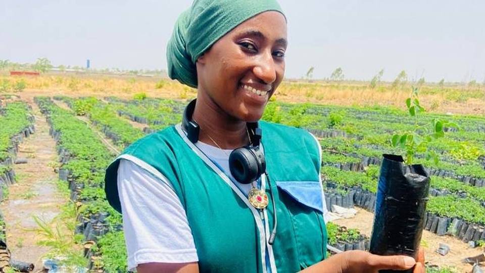 Karamar Zogale: Yadda 'yar bishiya ke kawo sauyi a Mali