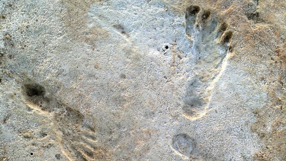 Footprints show existence of ancient human species in Kenya