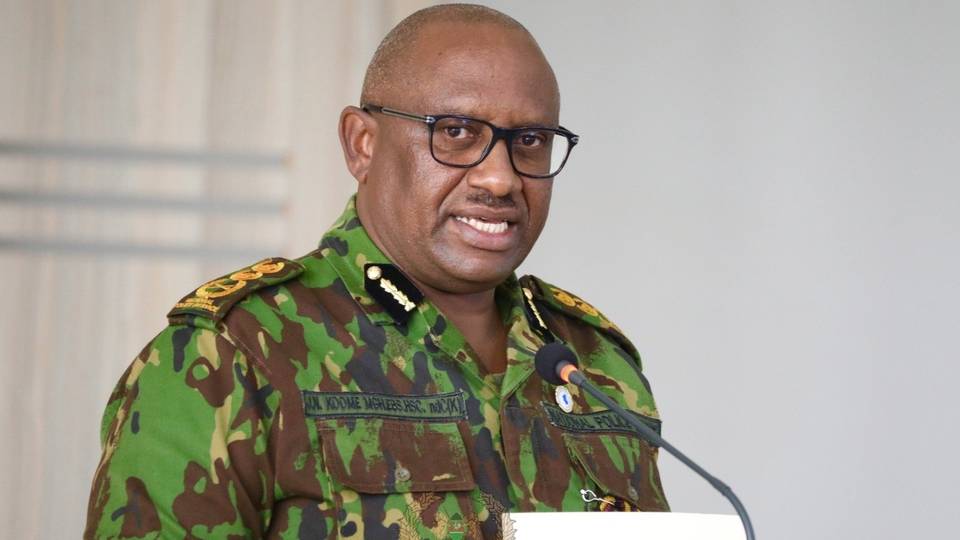 Kenya police boss resigns amid backlash over protests handling