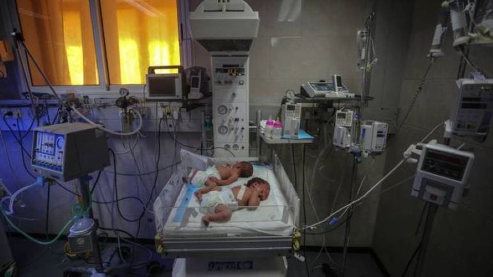 Nearly 20,000 babies born in Gaza amid Israeli attacks