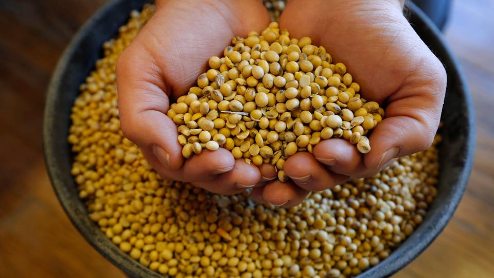 Nigeria to get boost in red meat, soybeans exports
