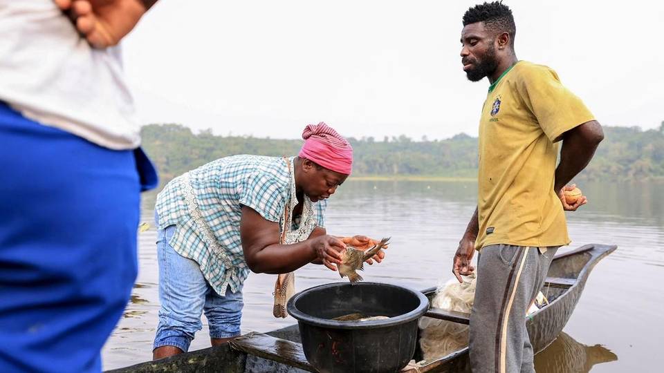 Le combat d'un chercheur camerounais pour les lamantins d'Afrique