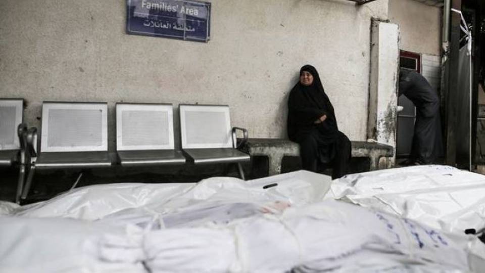 Live Updates: Gaza death toll exceeds 34,700 as Israel's Rafah offensive looms