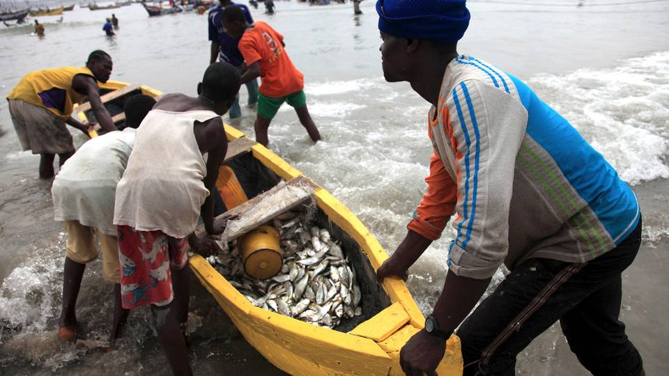 Pour les pêcheurs sénégalais, l'Aïd al-Adha est désormais une source d'angoisse et non une occasion de se réjouir