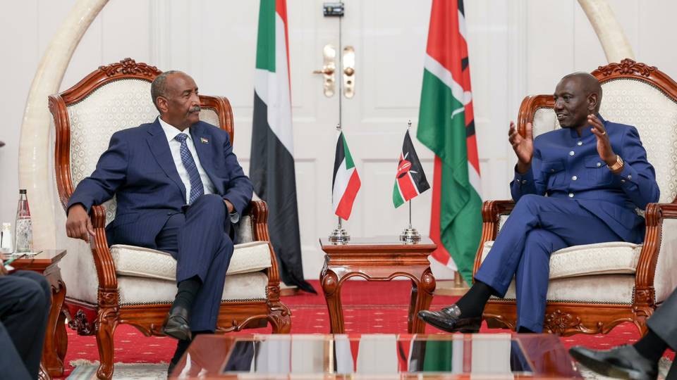 Sudan crisis: Army chief Burhan rallies neighbours for peace summit