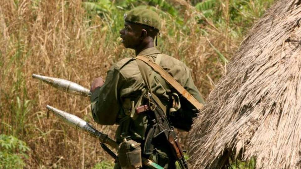 RDC : onze morts dans une nouvelle attaque des ADF dans l'est du pays