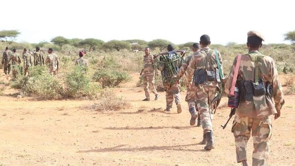 Somali forces kill Al-Shabaab leaders in military operations