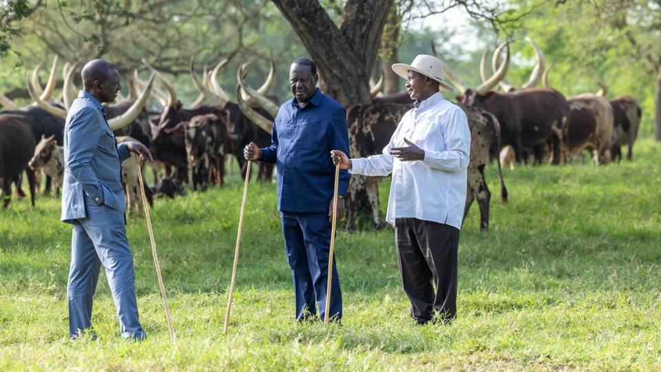 East Africa to 'front one candidate' for AUC top seat