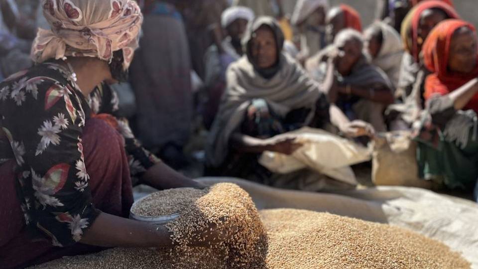 Dozens die as drought ravages Ethiopia's Tigray region